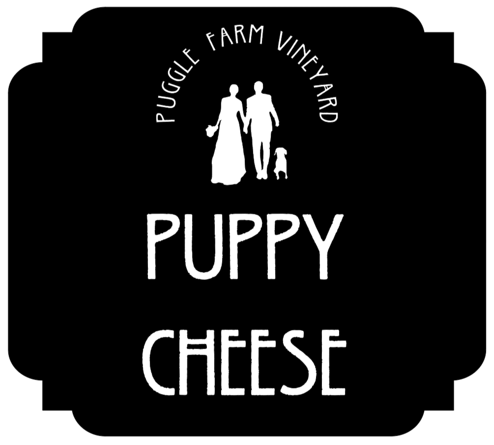 Puppy Cheese